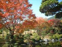 秋の紅葉の風景