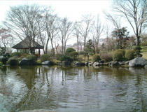 中央公園