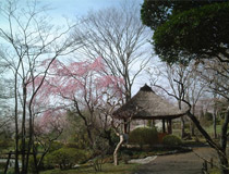 中央公園