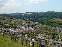 緑豊かな園内風景