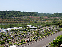 緑豊かな園内風景