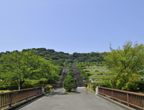 新緑が鮮やかな風景