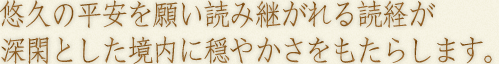 悠久の平安を願い読み継がれる読経が深閑とした境内に穏やかさをもたらします。