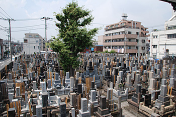 東漸寺 墓所