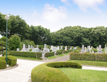 緑豊かな園内風景